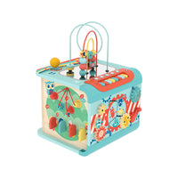 
              Hape Explore and Learn Activity Cube
            